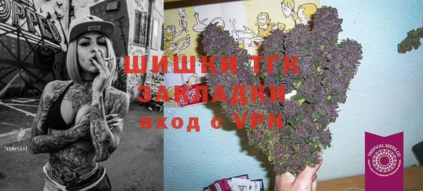 ECSTASY Гусь-Хрустальный