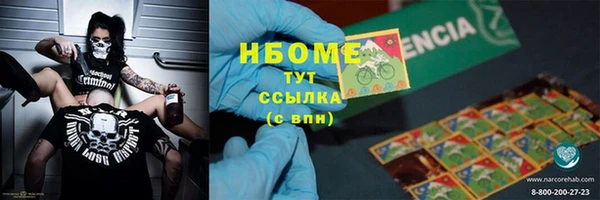 ECSTASY Гусь-Хрустальный