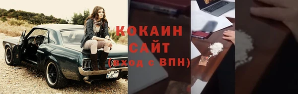 ECSTASY Гусь-Хрустальный