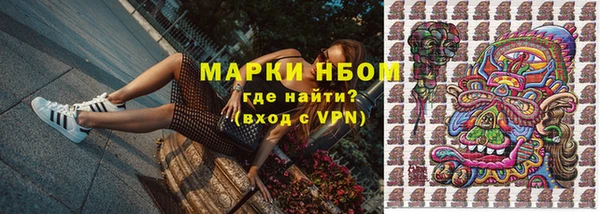 ECSTASY Гусь-Хрустальный