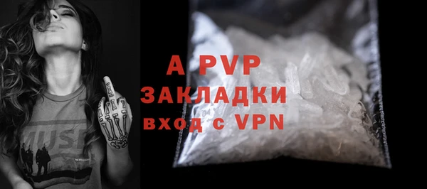 ECSTASY Гусь-Хрустальный