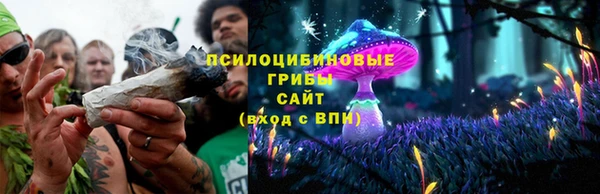ECSTASY Гусь-Хрустальный